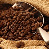 Coffee – How To Find The Best Coffee